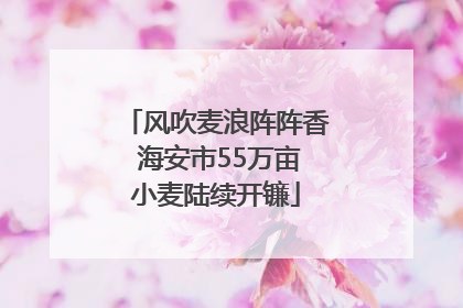 风吹麦浪阵阵香 海安市55万亩小麦陆续开镰
