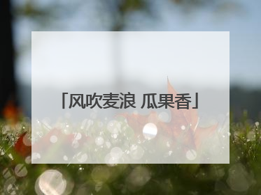 风吹麦浪 瓜果香