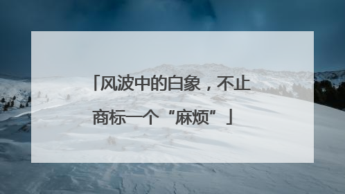 风波中的白象，不止商标一个“麻烦”