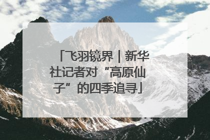 飞羽镜界｜新华社记者对“高原仙子”的四季追寻