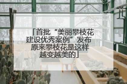 首批“美丽攀枝花建设优秀案例”发布 原来攀枝花是这样越变越美的