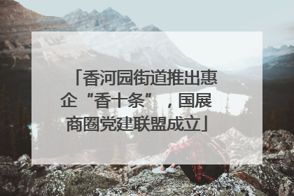 香河园街道推出惠企“香十条”，国展商圈党建联盟成立