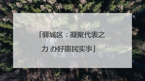 驿城区：凝聚代表之力 办好惠民实事