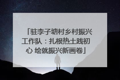 驻李子塘村乡村振兴工作队：扎根热土践初心 绘就振兴新画卷