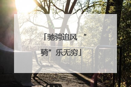 驰骋追风 “骑”乐无穷