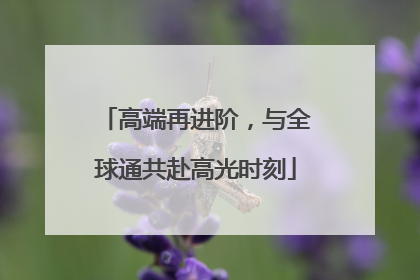 高端再进阶，与全球通共赴高光时刻