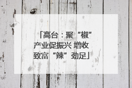 高台：聚“椒”产业促振兴 增收致富“辣”劲足