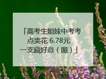 高考生姐妹中考考点卖花 6.78元一支藏好意（图）