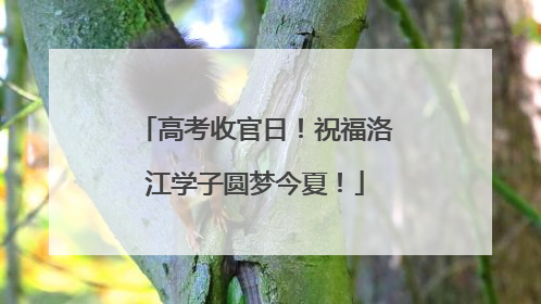 高考收官日！祝福洛江学子圆梦今夏！