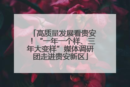 高质量发展看贵安！“一年一个样、三年大变样”媒体调研团走进贵安新区