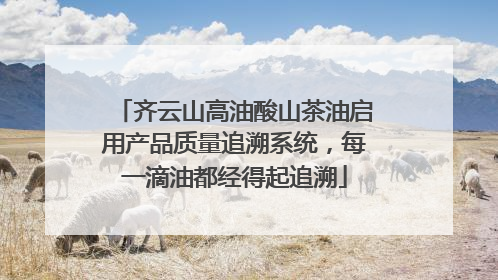 齐云山高油酸山茶油启用产品质量追溯系统，每一滴油都经得起追溯