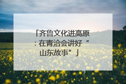 齐鲁文化进高原：在青洽会讲好“山东故事”