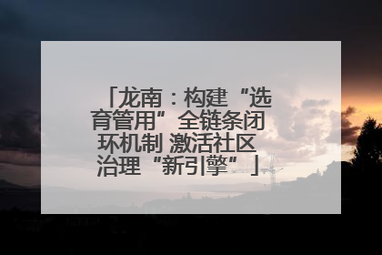 龙南：构建“选育管用”全链条闭环机制 激活社区治理“新引擎”