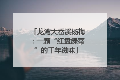 龙湾大岙溪杨梅：一颗“红盘绿蒂”的千年滋味