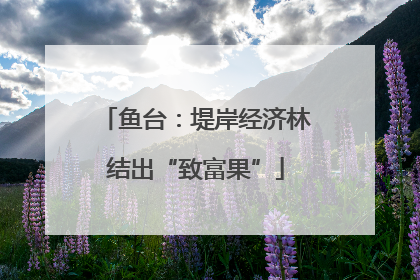 鱼台：堤岸经济林结出“致富果”