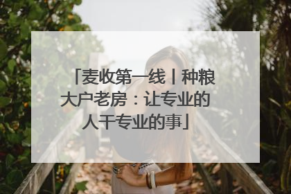 麦收第一线丨种粮大户老房：让专业的人干专业的事