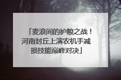 麦浪间的护粮之战！河南封丘上演农机手减损技能巅峰对决