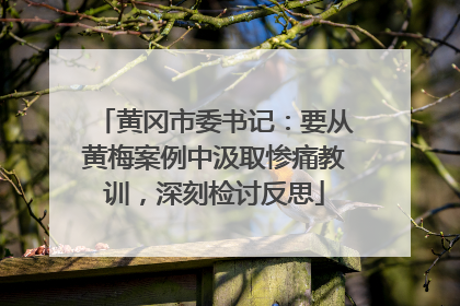 黄冈市委书记：要从黄梅案例中汲取惨痛教训，深刻检讨反思