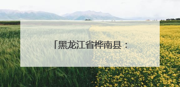 黑龙江省桦南县：建强法治人才队伍 提升基层治理水平