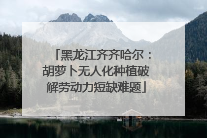 黑龙江齐齐哈尔：胡萝卜无人化种植破解劳动力短缺难题