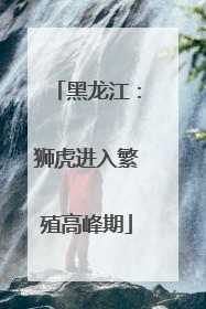 黑龙江：狮虎进入繁殖高峰期