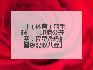 （体育）羽毛球——印尼公开赛：程星/张驰晋级混双八强
