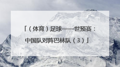 （体育）足球——世预赛：中国队对阵巴林队（3）