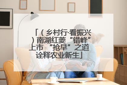 （乡村行·看振兴）南湖红菱“错峰”上市 “抢早”之道诠释农业新生