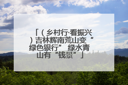 （乡村行·看振兴）吉林辉南荒山变“绿色银行” 绿水青山有“钱景”
