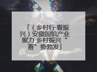 （乡村行·看振兴）安徽固镇产业聚力 乡村振兴“畜”势勃发