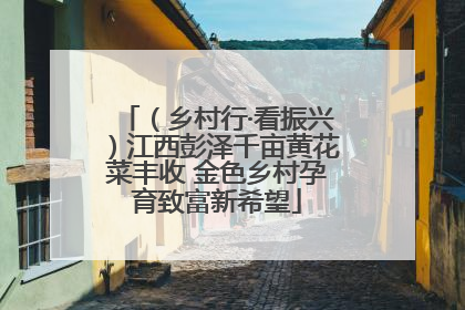 （乡村行·看振兴）江西彭泽千亩黄花菜丰收 金色乡村孕育致富新希望