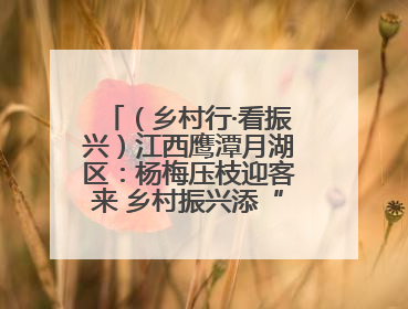 (乡村行·看振兴)江西鹰潭月湖区:杨梅压枝迎客来 乡村振兴添“梅”景