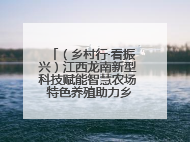 （乡村行·看振兴）江西龙南新型科技赋能智慧农场 特色养殖助力乡村振兴