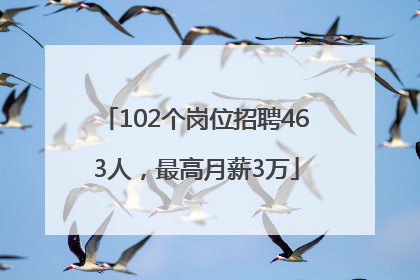102个岗位招聘463人，最高月薪3万