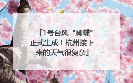 1号台风“蝴蝶”正式生成！杭州接下来的天气很复杂