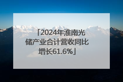 2024年淮南光储产业合计营收同比增长61.6%