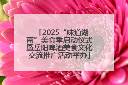 2025“味道湖南”美食季启动仪式暨岳阳啤酒美食文化交流推广活动举办