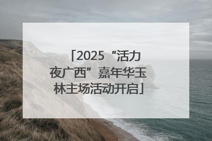2025“活力夜广西”嘉年华玉林主场活动开启