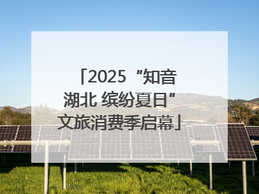 2025“知音湖北 缤纷夏日”文旅消费季启幕
