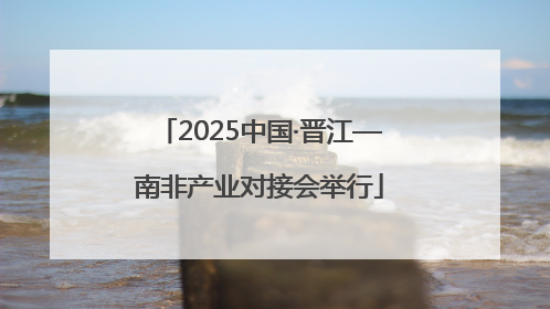 2025中国·晋江—南非产业对接会举行