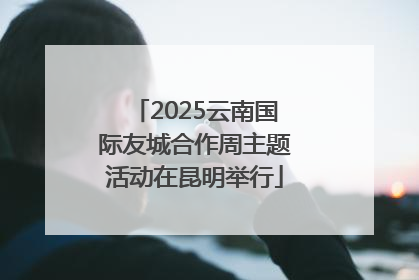 2025云南国际友城合作周主题活动在昆明举行