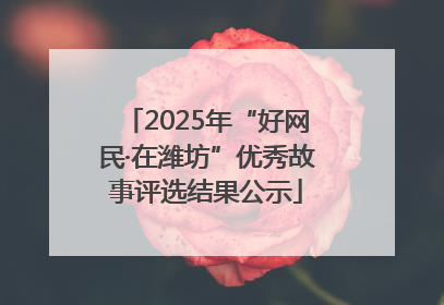 2025年“好网民·在潍坊”优秀故事评选结果公示