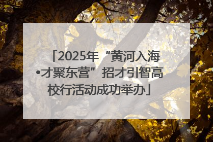 2025年“黄河入海•才聚东营”招才引智高校行活动成功举办