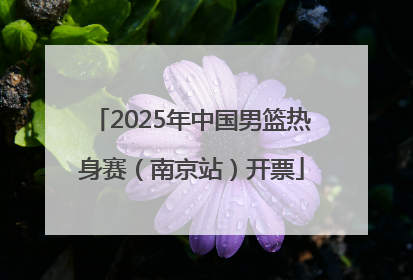 2025年中国男篮热身赛（南京站）开票