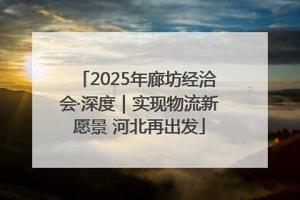 2025年廊坊经洽会·深度｜实现物流新愿景 河北再出发
