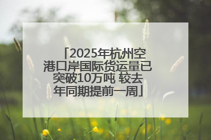 2025年杭州空港口岸国际货运量已突破10万吨 较去年同期提前一周