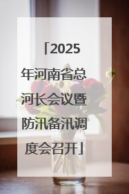 2025年河南省总河长会议暨防汛备汛调度会召开
