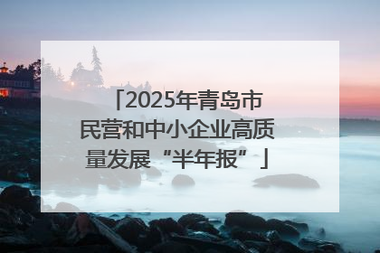 2025年青岛市民营和中小企业高质量发展“半年报”