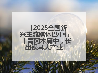 2025全国新兴主流媒体巴中行丨青冈木屑中，长出银耳大产业