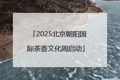 2025北京朝阳国际茶香文化周启动